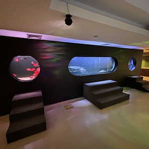 Assorted Aquarium Tanks