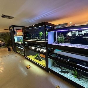 Assorted Aquarium Tanks