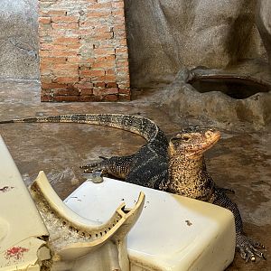 Asian Water Monitor