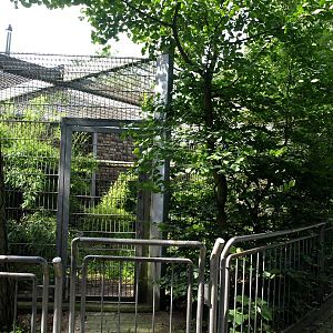 Duisburg Zoo - Carnivore House