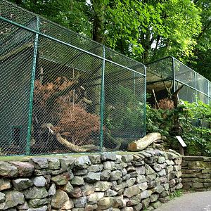 Duisburg Zoo - Wildcat exhibits