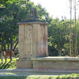 Bengal Tiger Exhibit