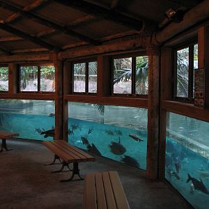 Wings of Asia - Pond Viewing Area