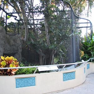 Asian River Life - Cloded Leopard Exhibit