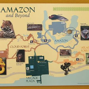 Amazon and Beyond - Exhibit Map