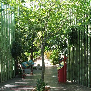 Amazon and Beyond - Cloud Forest - Jaguar Exhibit Viewing Path