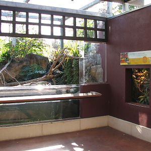 Amazon and Beyond - Cloud Forest - Jaguar Shelter Exhibits