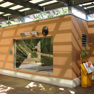 Amazon and Beyond - Amazon - Orinoco Crocodile Shelter Exhibits