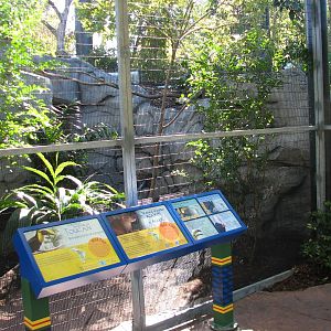 Amazon and Beyond - Amazon - Toucan Aviary