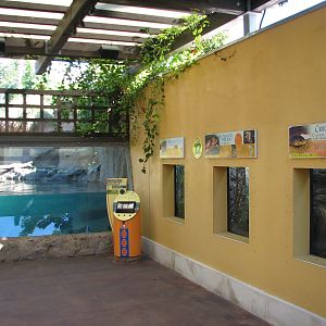 Amazon and Beyond - Atlantic Forest - Otter Shelter Exhibits