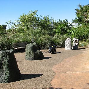 Amazon and Beyond - Atlantic Forest - Play Area