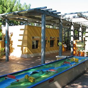 Amazon and Beyond - Atlantic Forest - Play Area