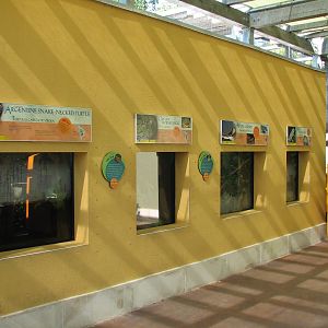 Amazon and Beyond - Atlantic Forest - Shelter Exhibits