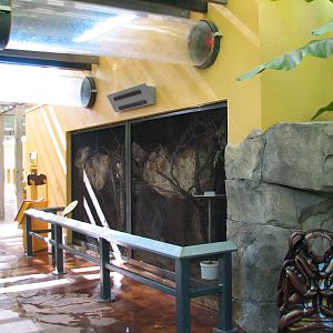 Amazon and Beyond - Atlantic Forest - Bat Exhibit