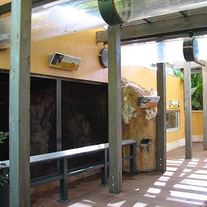 Amazon and Beyond - Atlantic Forest - Bat Exhibit