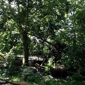 Duisburg Zoo - Coati exhibit