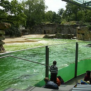 Sea Lion Enclosure