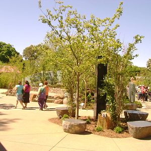 Courtyard between red panda exhibit 2 and Wang Wang's exhibit