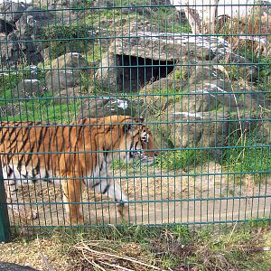 Rajiv and a dusting of snow, December 18th 2009