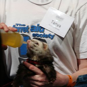 Steel City Safari - November 15th, 2009