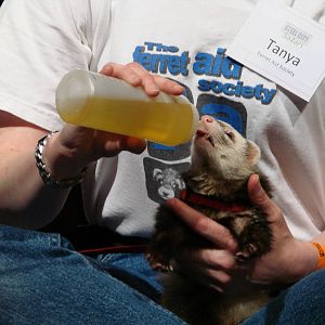 Steel City Safari - November 15th, 2009