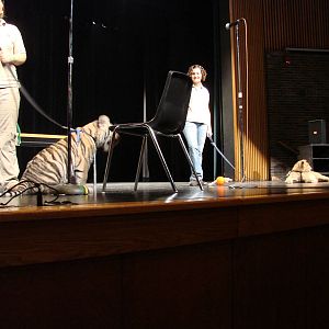 Steel City Safari - November 15th, 2009