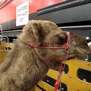 Steel City Safari - November 15th, 2009