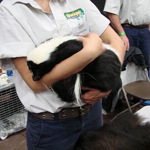 Steel City Safari - November 15th, 2009