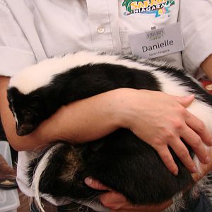 Steel City Safari - November 15th, 2009