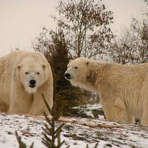 Toronto Zoo Visit - December 18th 2009