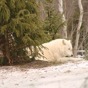 Toronto Zoo Visit - December 18th 2009