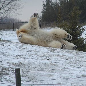 Toronto Zoo Visit - December 18th 2009