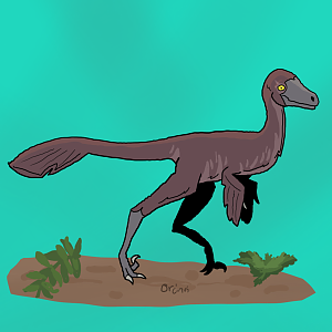 Hypnovenator matsubaraetoheorum