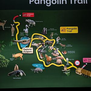 Pangolin Trail Map