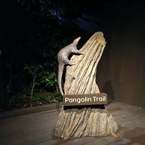 Pangolin Trail Statue