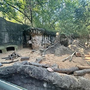 Cape Porcupine Enclosure