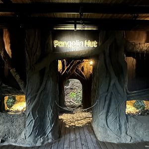 Pangolin Hut at Pangolin Trail