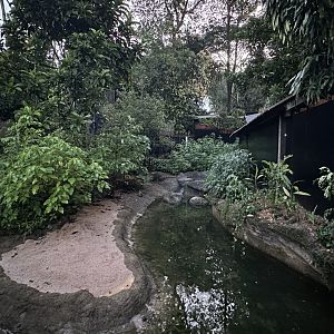 Binturong & Asian Small-clawed Otters Exhibit at Pangolin Trail