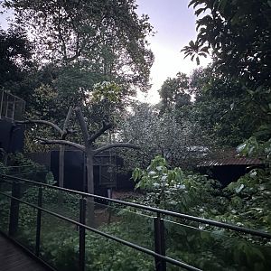 Binturong & Asian Small-clawed Otters Exhibit at Pangolin Trail