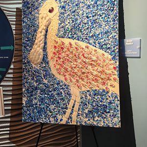 Florida Oceanographic Center - Sea plastics art