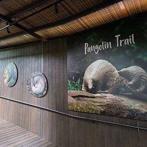 Pangolin Trail Entrance