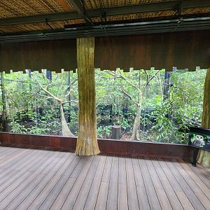 Barn Owl exhibit- Pangolin Trail