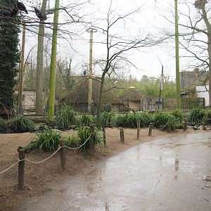 European walk-through aviary, 2023-02-19