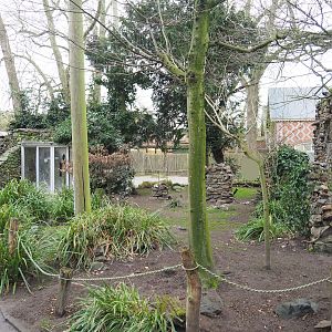 European walk-through aviary, 2023-02-19