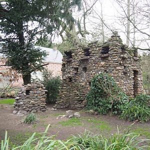 Natural rock bird house in the European walk-through aviary, 2023-02-19