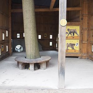 Barbary macaque viewing and education area, 2023-02-19