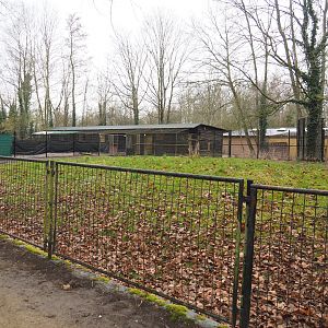 Normally off-show ungulate paddock, 2023-02-19