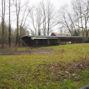 Normally off-show ungulate paddock with Arabian oryx and Slender-horned gazelle, 2023-02-19