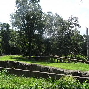 Chimpanzee Exhibit
