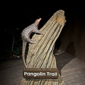 Pangolin Trail Statue
